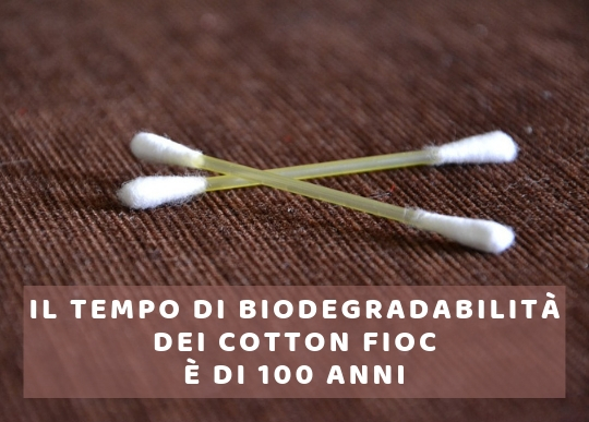 Biodegradabilita cotton fioc.jpg